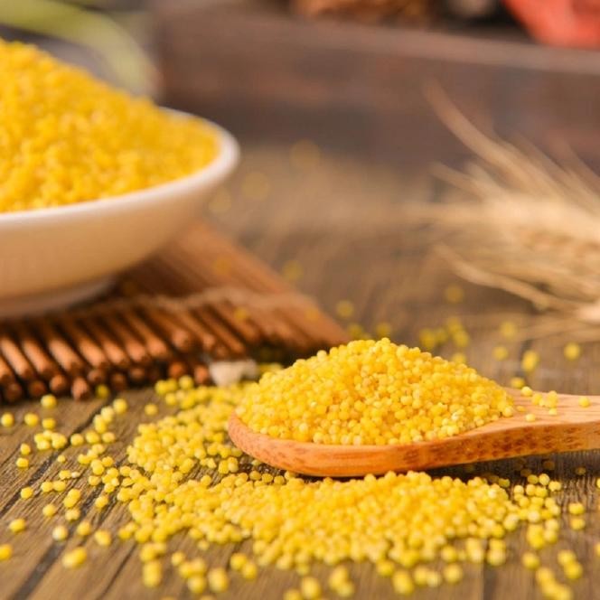 

[Halal] [500G] Beras Millet/Xiao Mi/Huang Xiao Mi/ /500G