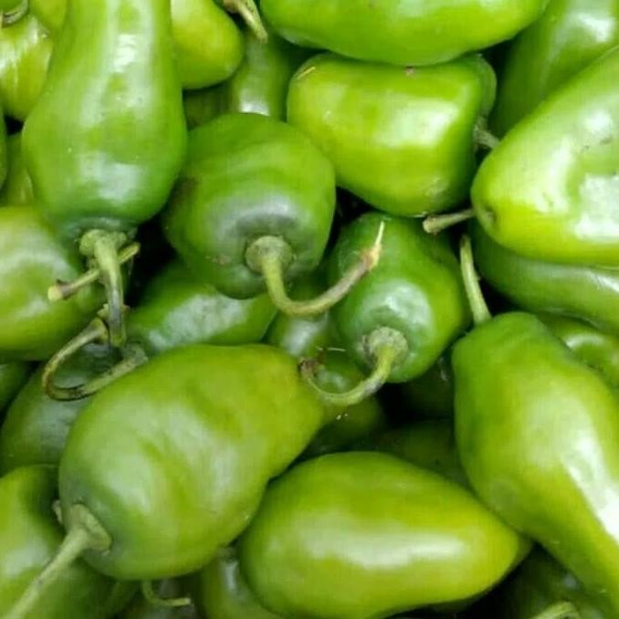 

Inovasi 1 Kg Cabe Gendot Cabai Bendot Segar Teh Shaty