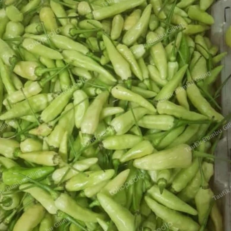 

Inovasi Cabe Rawit,Cabe Hijau,Lombok Kepiting,Lombok Besar