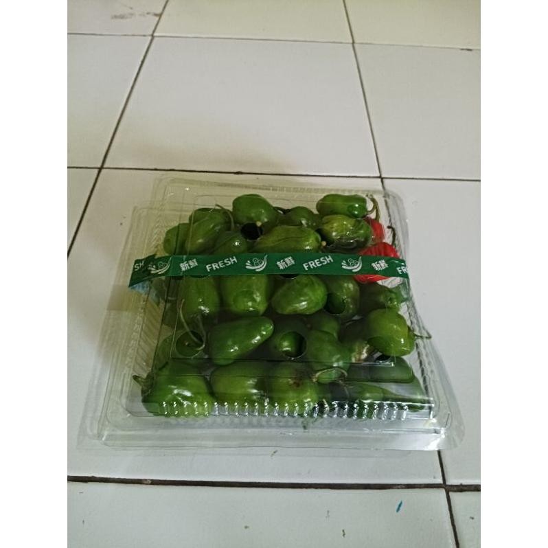 

Terbaru Cabe Gendot Fresh Segar 250 Gram-1Kg Termurah