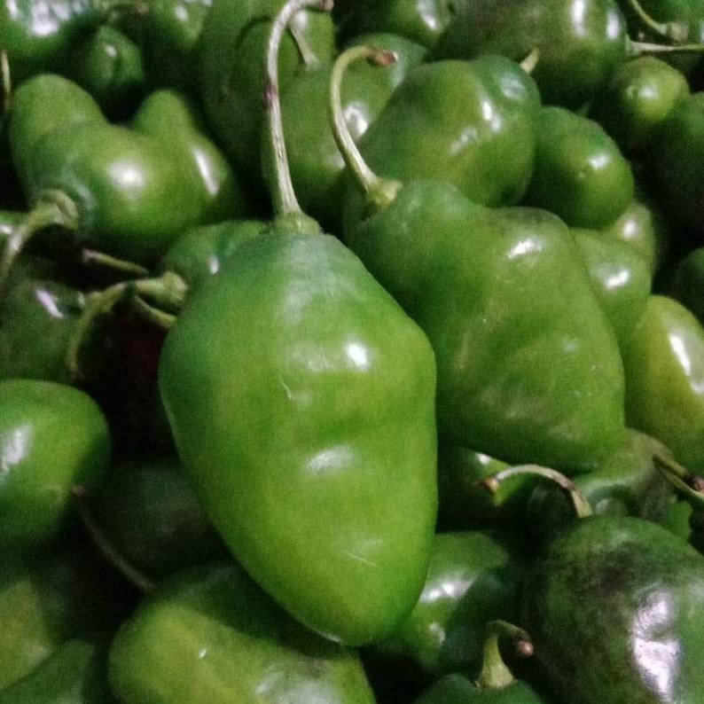 

Praktis Cabe Gendot 1Kg, Cabe Lombok, Cabe Gendol