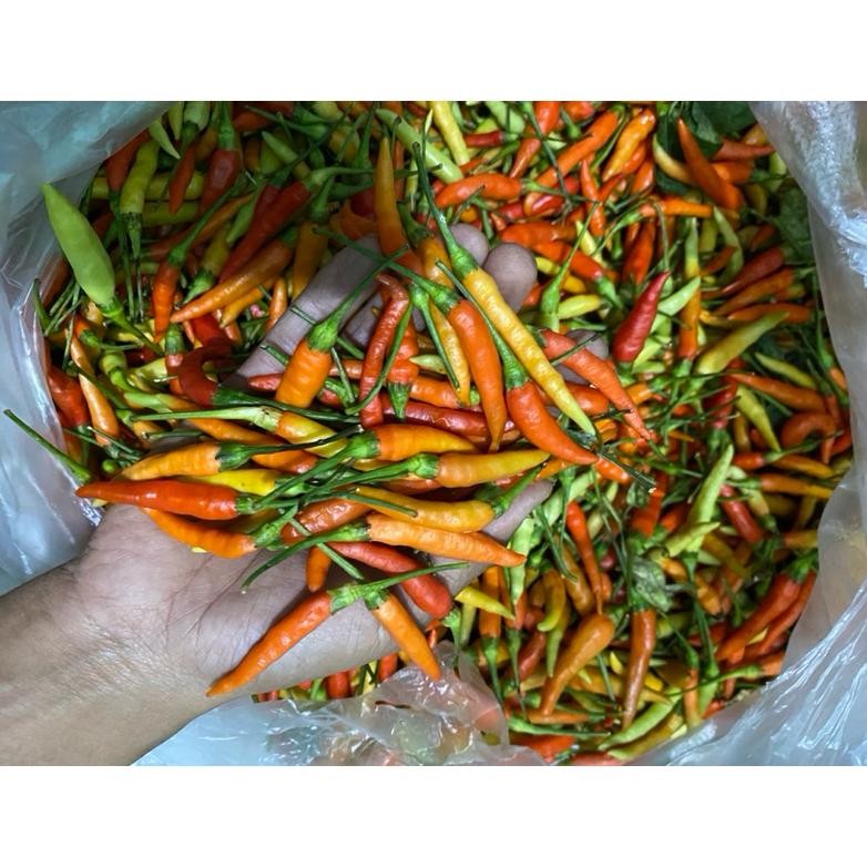

Cod Cabe Rawit Ori Probolinggo 1Kg