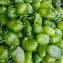 

Fungsi Cabai Gendot Cabe Gendot Bandung 250Gr Fresh