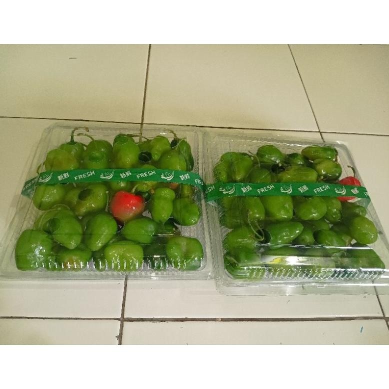

Premium Terbaik Cabe Gendot Fresh Segar 250 Gram-1Kg Termurah