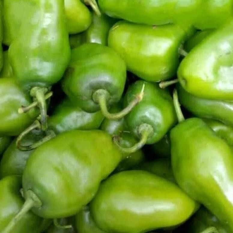 

Buktikan Cabai Bendot Cabe Gendot Bandung Segar 250Gr Ekstra Pedas