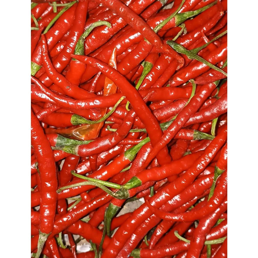 

Efisien Cabai Merah Kriting Fresh 1 Kg