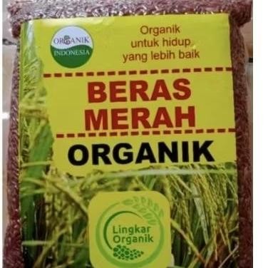 

Beras Merah Organik Sp 1Kg2Kg5Kg Beras Merah Baik Untuk Dan Diabetes