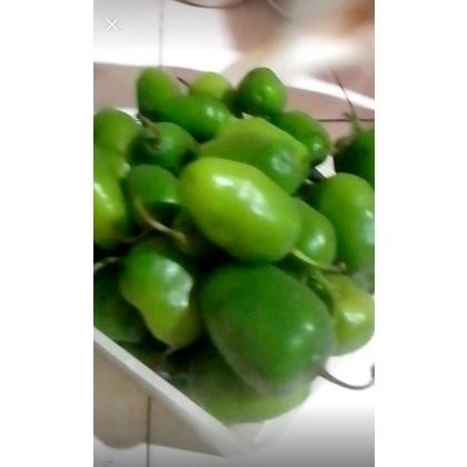 

Keunggulan Cabe Gendot Bandung Cabai Bendot Fresh 500Gr