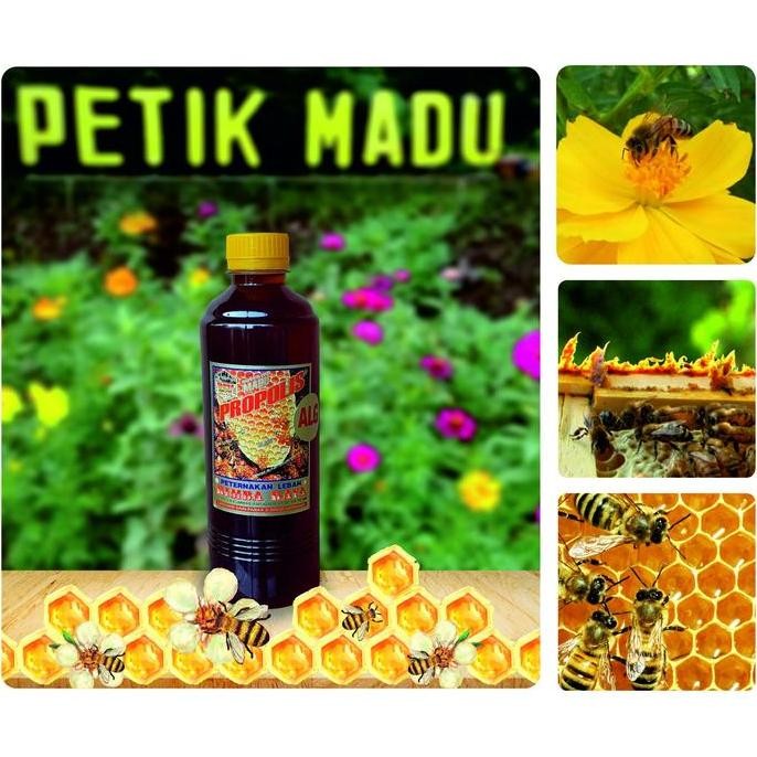 

TERMURAH MADU PROPOLIS 500ML - ATASI ALERGI & TINGKATKAN IMUNITAS TUBUH