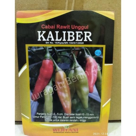 benih cabe kaliber wijitani 10 gram