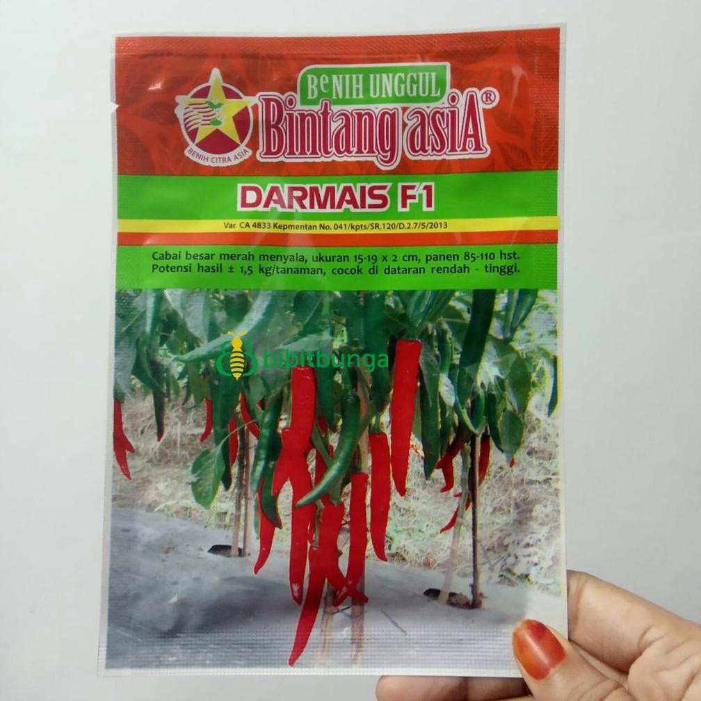 Benih Bintang Asia Cabe Besar Darmais F1 10gr Biji
