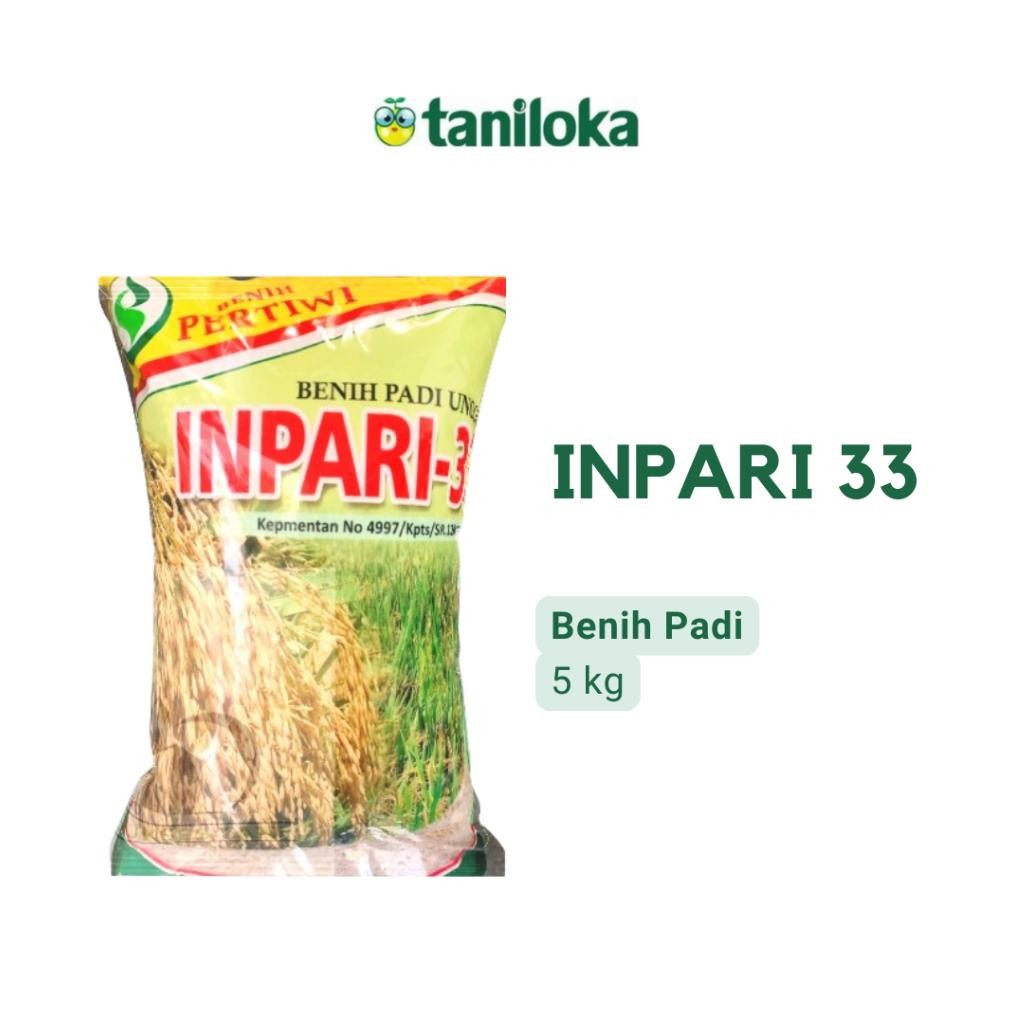Benih Pertiwi - Benih Padi Inpari 33 (5 Kg)