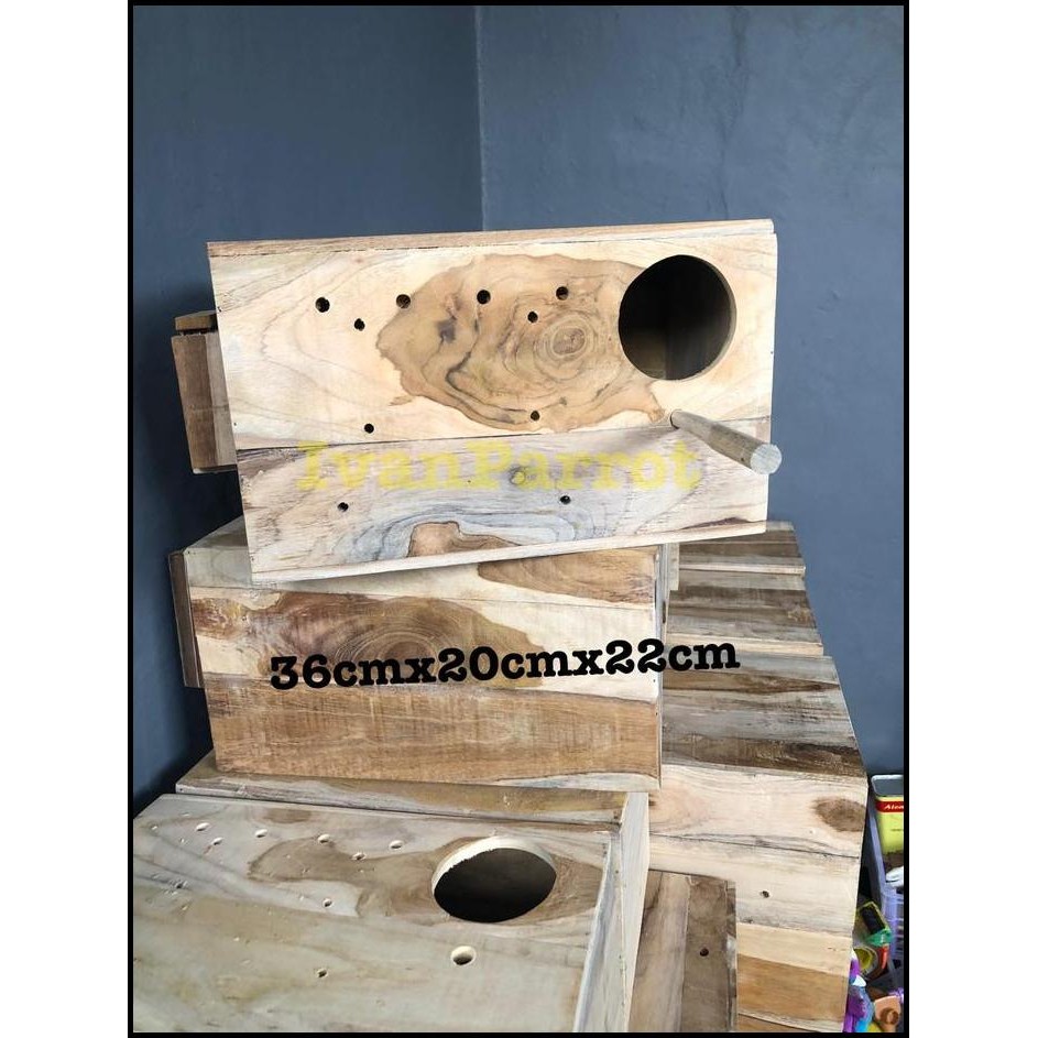 GLODOK KAYU JATI BURUNG PARROT PARKIT FALK