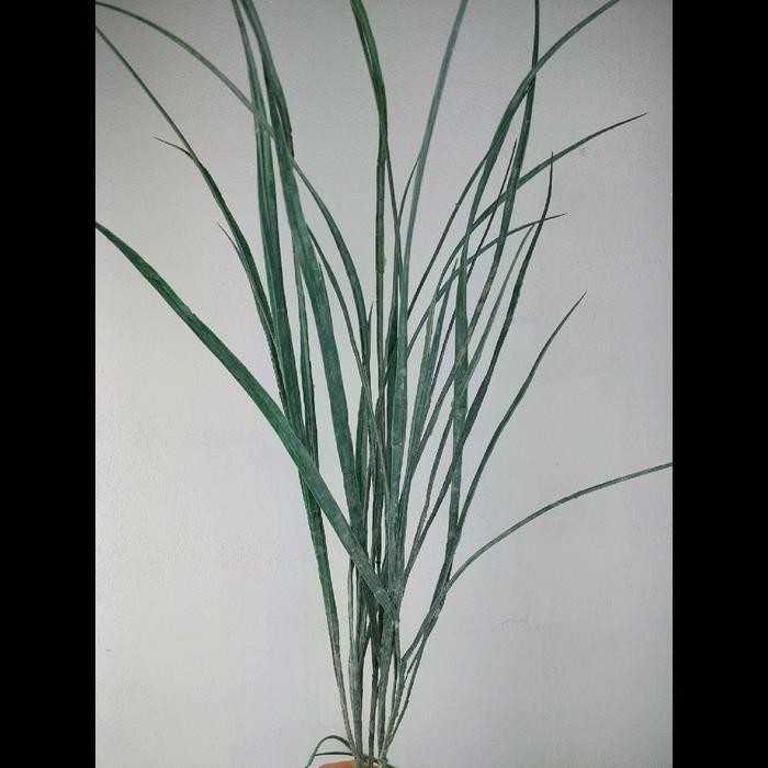 Tanaman Hias Rumput Ilalang Plastik Palsu Artificial Dekorasi