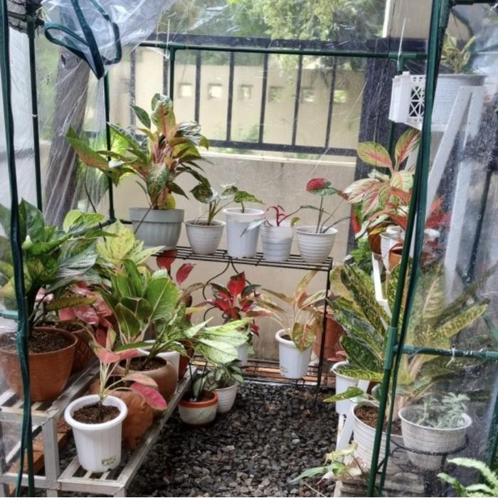 Mini Green House Tanaman / Lemari Sungkup / Sungkup Tanaman