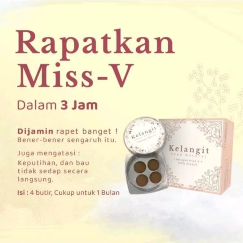 DELANGIT SEED ORIGINAL PERAPAT KELANGIT SEED DiM