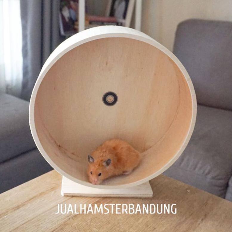 Kincir Untuk Hamster | Wheel Hamster diameter 30cm | Kincir Hamster 30cm | Kincir Kayu Hamster 30cm 