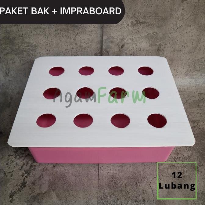 new  Paket bak impraboard - 12 Lubang Tanam