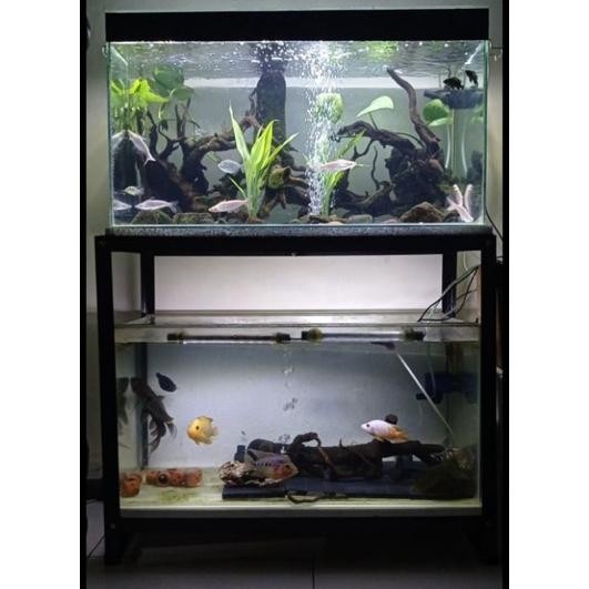 NEW Rak aquarium 60x30 2 susun bongpas [terbaik][terlaris]
