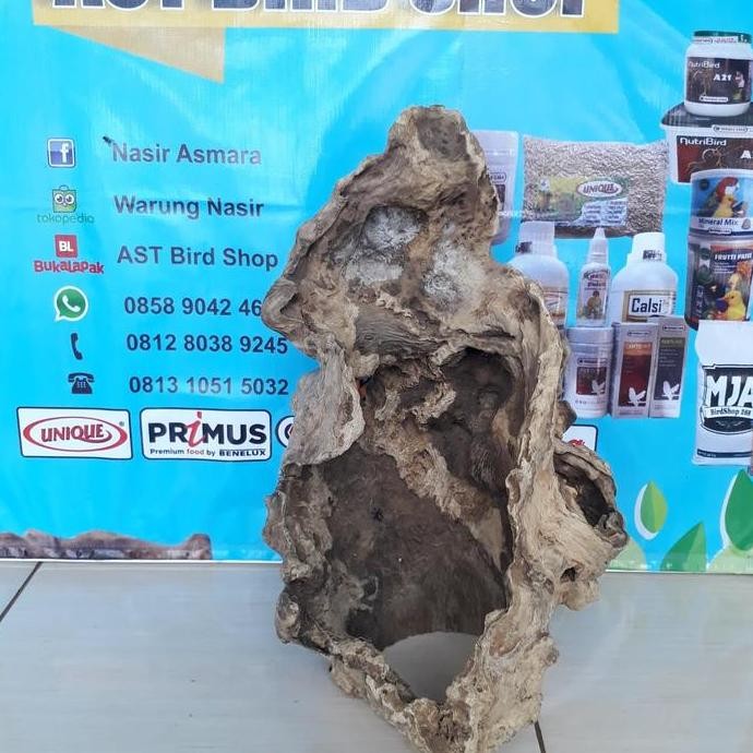 Hiding cave kayu kopi Aquascape