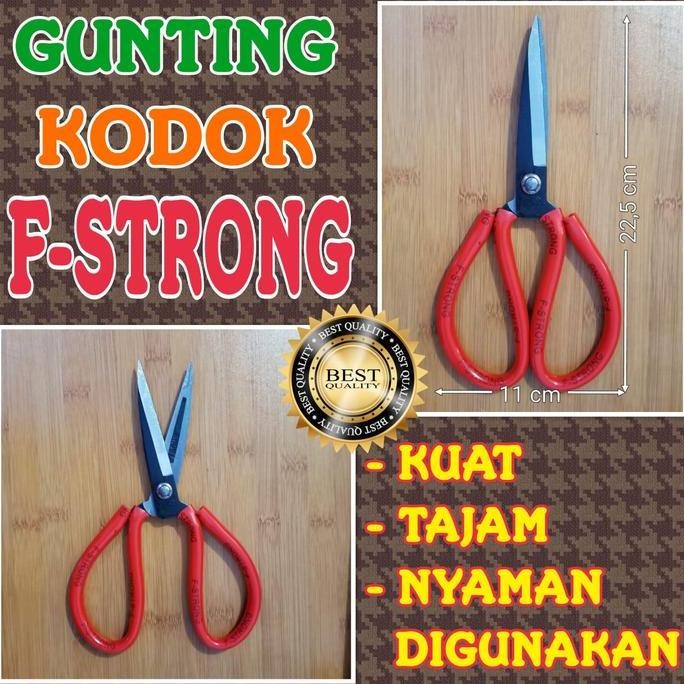 

Gunting Kodok F Strong