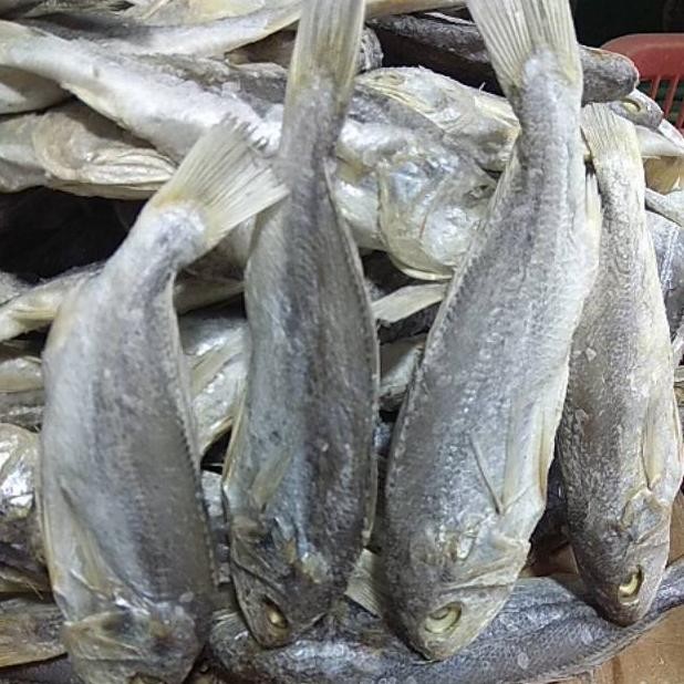 

Ikan asin kepala batu medan 100 asli berat 500 gram