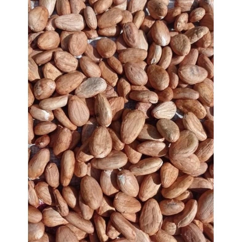 

biji coklat / kakao kering Nugi