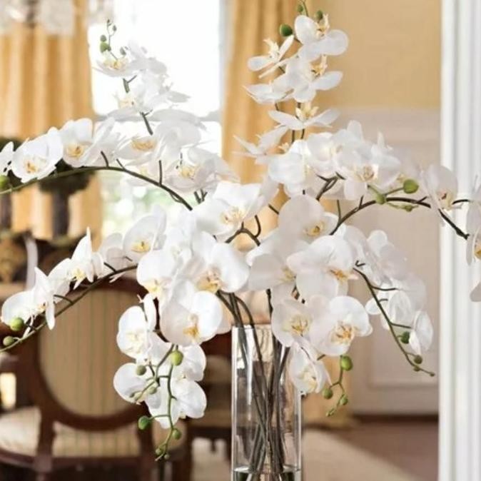 Tersedia Bunga Anggrek Latex Import Real Touch 9 Cabang Warna Putih - Bunga Hias Premium