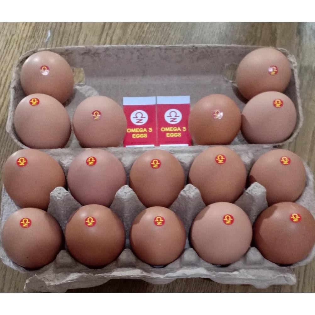 

Telur Ayam Omega 3 khusus Bandung Lembang Cimahi, Bersih Segar Sehat 1 Kg Nugi