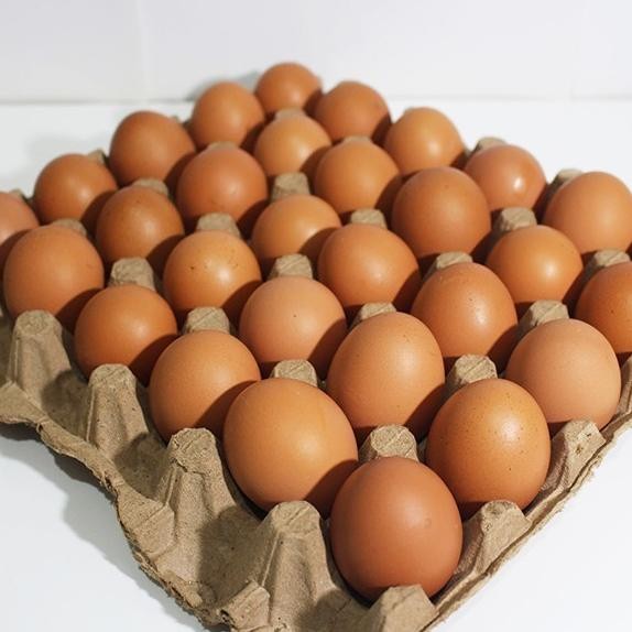 

TELUR AYAM NEGRI CURAH PER KG Nugi