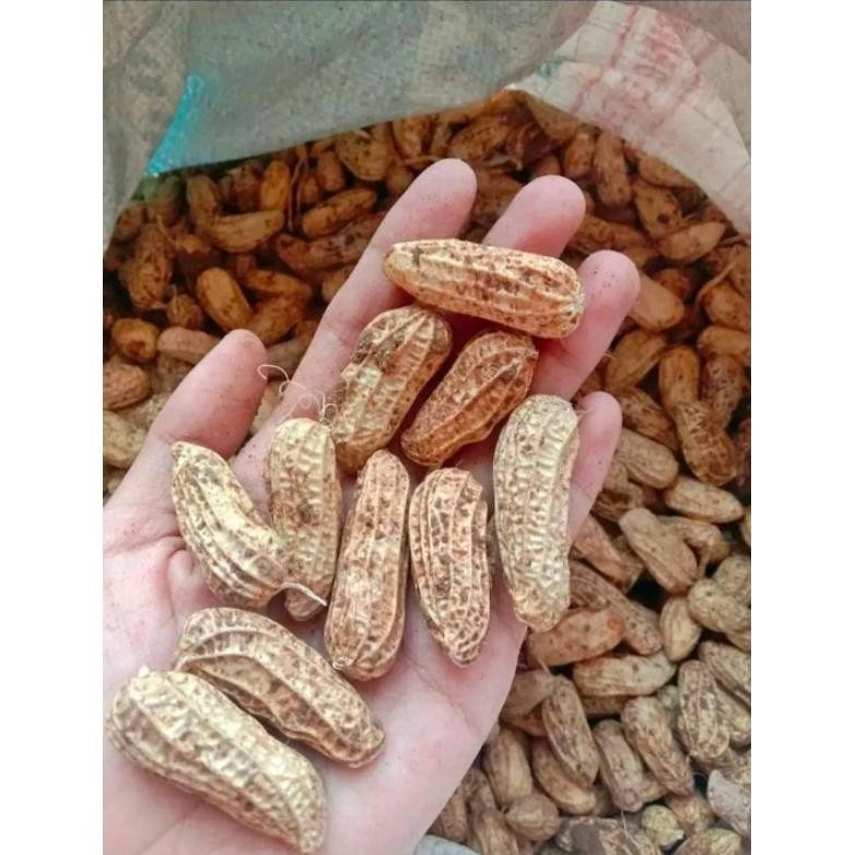 

KACANG TANAH MADU SUPER PULEN FRESH 1kg Nugi