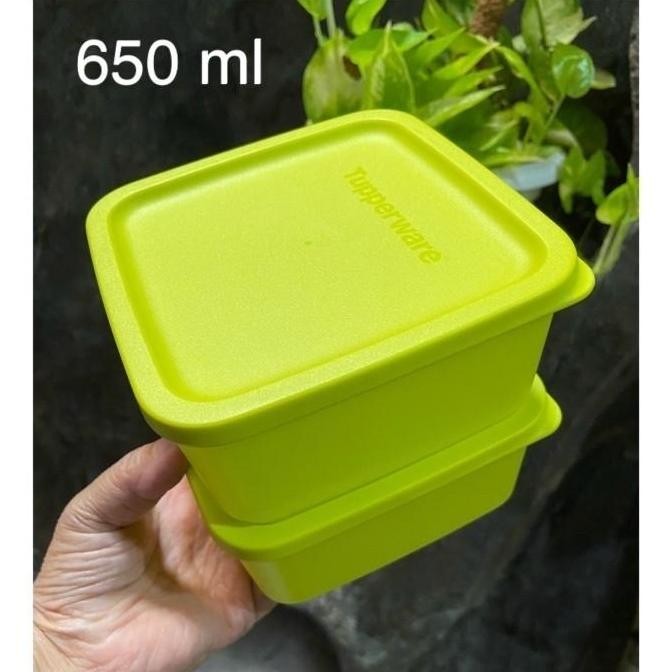 Toples kecil Tupperware S Summer 1 pc