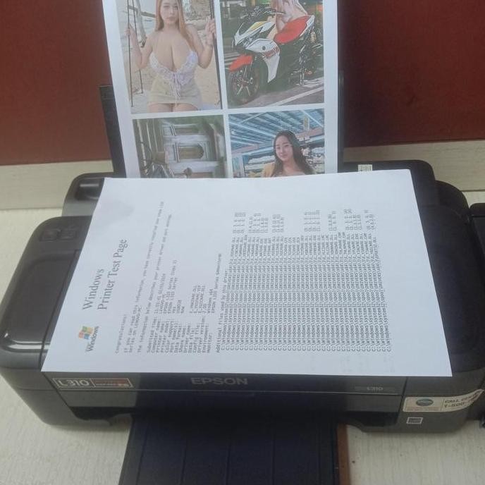 Printer Epson L310 murah