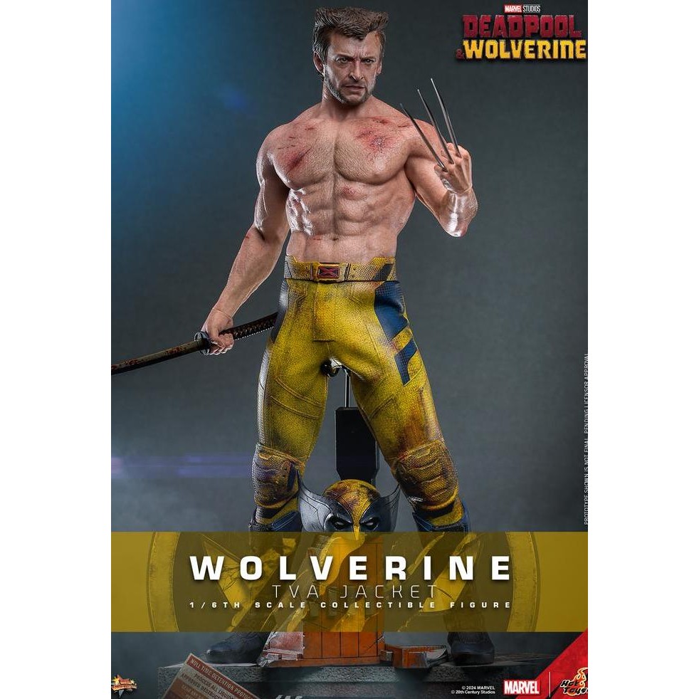 Hot Toys Wolverine TVA Jacket Deadpool & Wolverine MMS 756