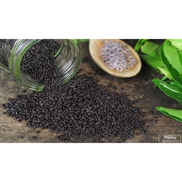 

/////] Selasih Biji Repack 50gr