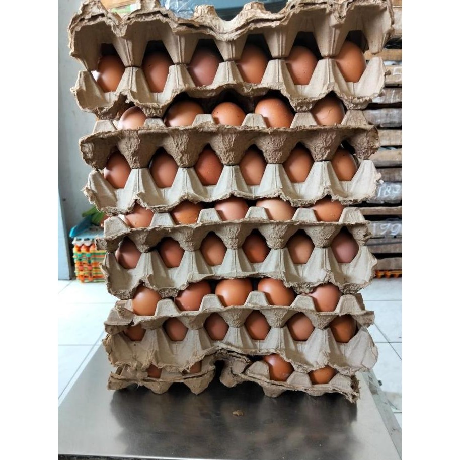 

Produk Baru!! Telur Ayam Curah Segar Harian Harga per Kg