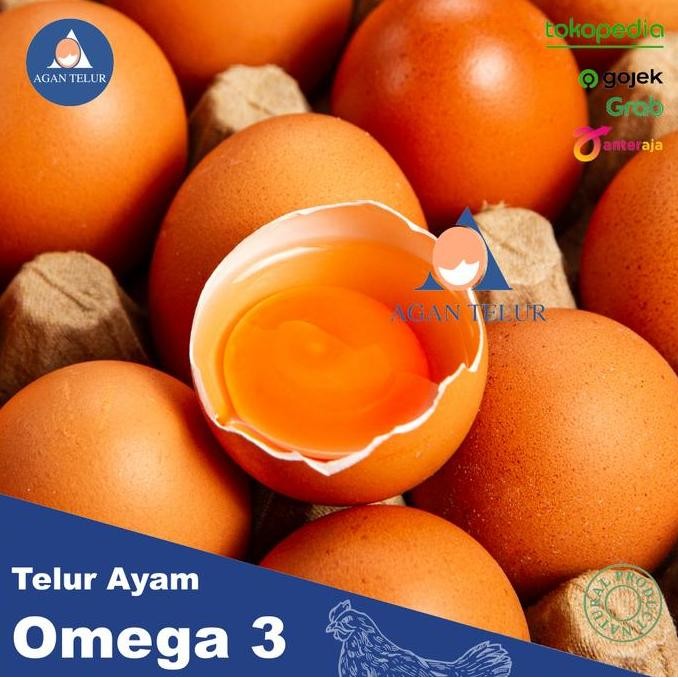 

Produk Baru!! Telur Negeri Omega Premium Segar per Kg - Telur Sehat