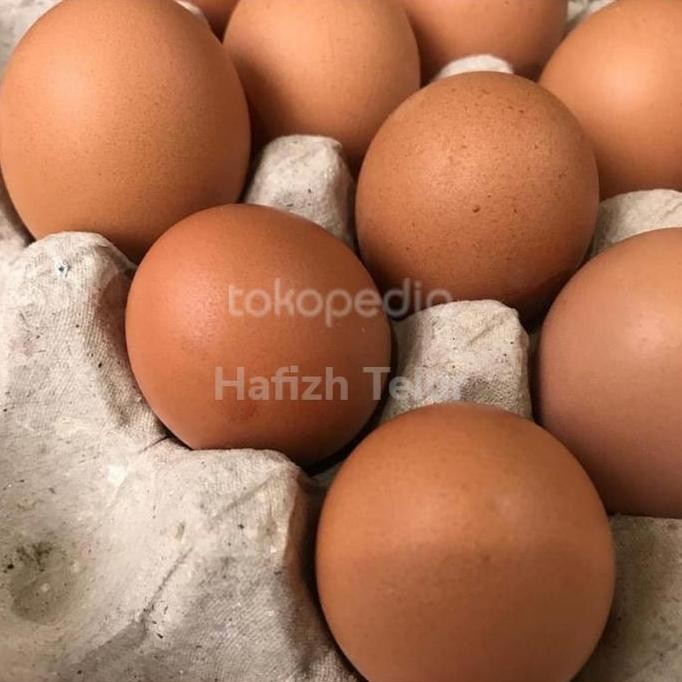 

Produk Baru!! Telur Ayam Negeri 1kg Isi 14-15 Butir Segar dan Bergizi