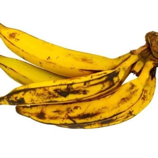 Bibit Pohon Pisang Tanduk / Buah Pisang Tanduk UNGGULAN SEGAR ATV