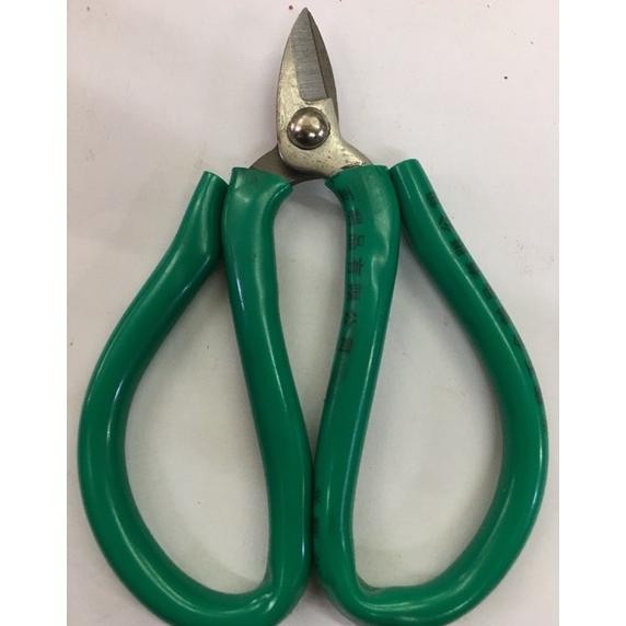 

Readyy!! Gunting kodok besar