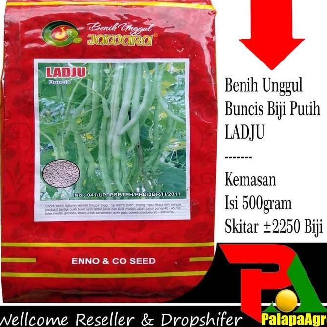 

Jual, Benih Buncis Ladju 500Gr