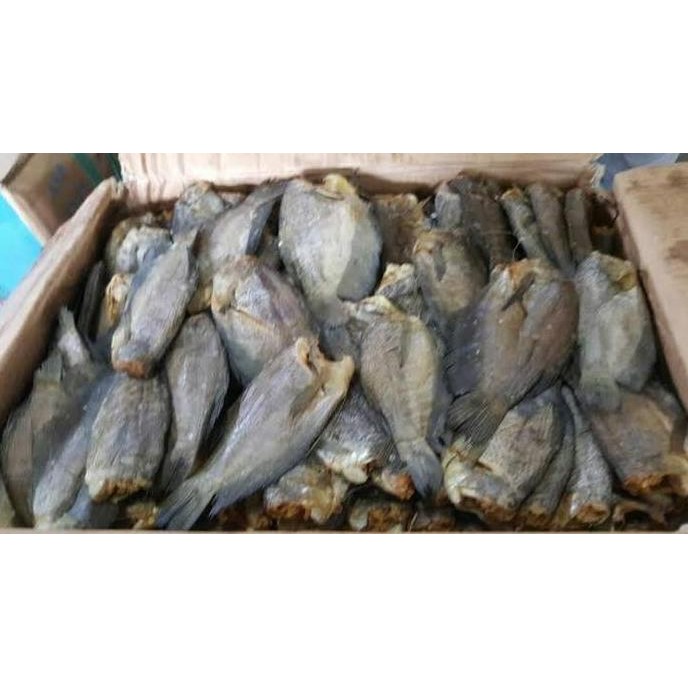 

Ikan Asin Sepat Siam Jumbo #Gratisongkir
