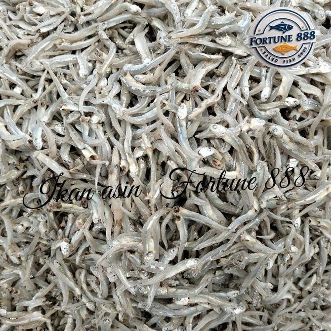 

Ikan Asin Teri Buntiau/ Teri Kacang Kualitas Premium #Gratisongkir