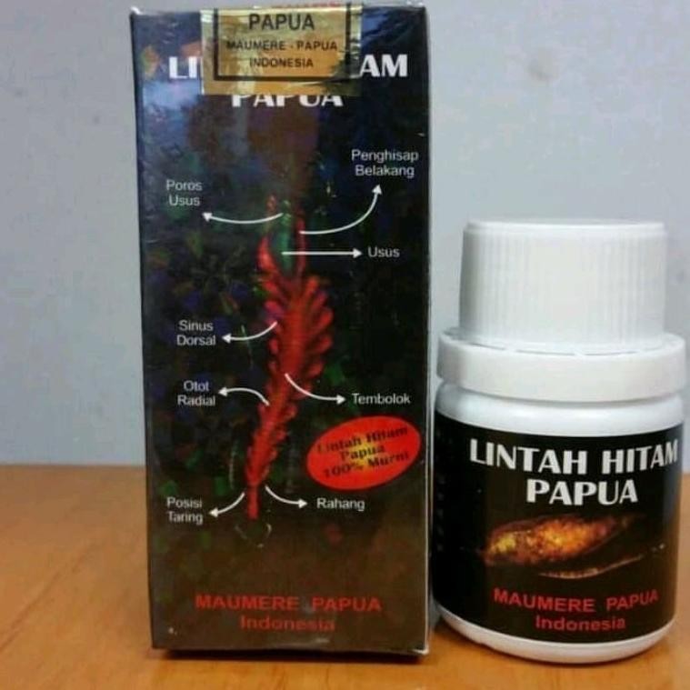 Minyak lintah hitam papua