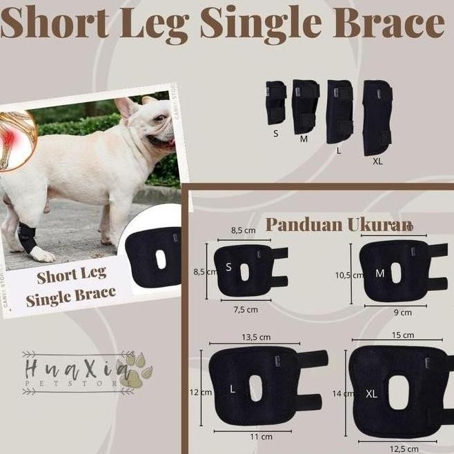 (Terbaru) SHORT DOG LEG BRACE/PERBAN PEMULIHAN KAKI ANJING PENDEK/PET MEDICAL (Terlaris)