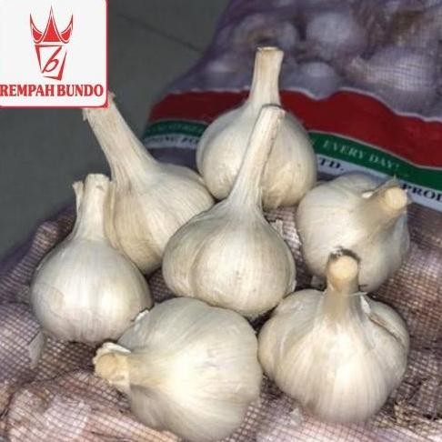Original Bawang Putih Kating Kotor Super 1kg - Segar, Siung Besar & Kualitas Super