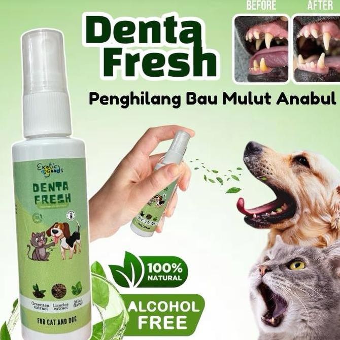 Denta Fresh 60Ml Penghilang Bau Mulut Anjing Kucing Penyegar Nafas Anabul Penyegar Bau Mulut Anjing 