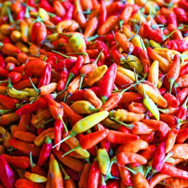 

New Cabe / Cabai Rawit Merah 500 gr ~