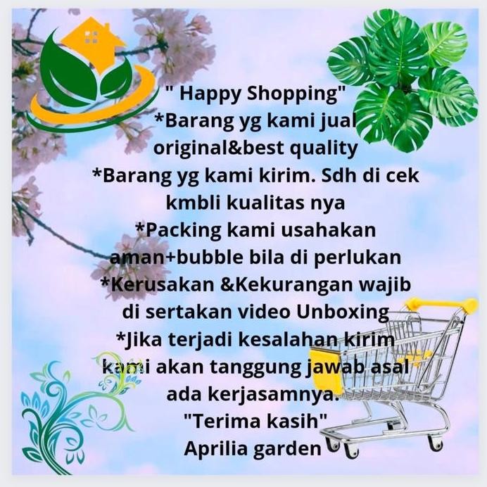 Ready Benih Bibit Daun Ketumbar Coriander Favour 10gr Original Known You Seed