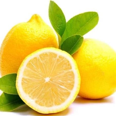 

Bibit Pohon Jeruk Lemon USA / Tanaman Buah Jeruk BISA COD